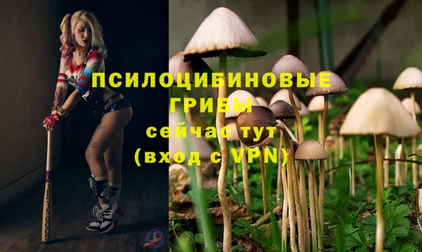 героин Липки