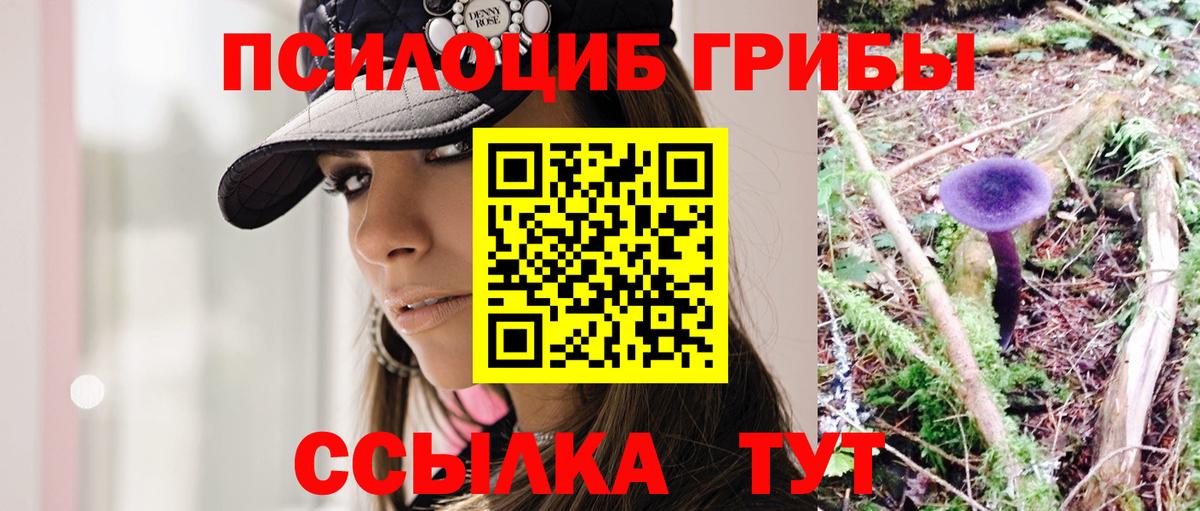 Псилоцибиновые грибы прущие грибы  Бердск 