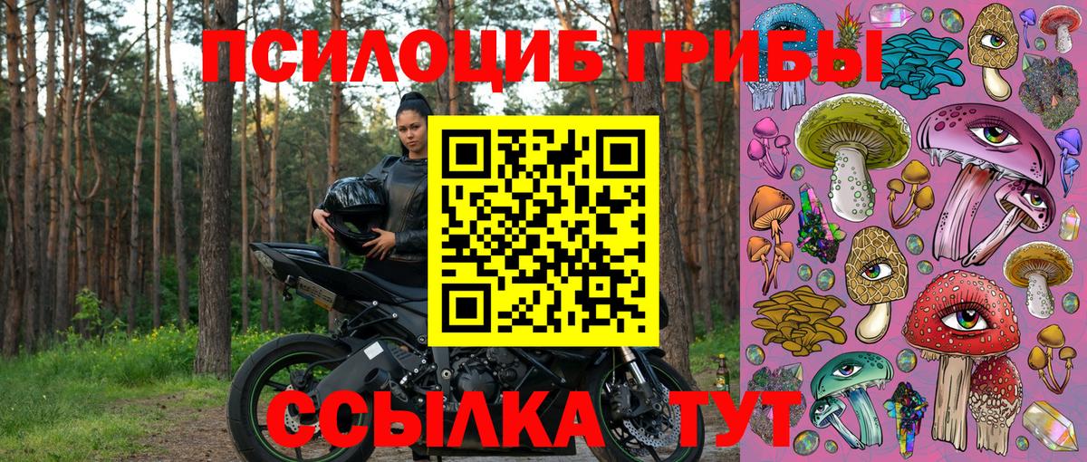 Галлюциногенные грибы мухоморы Бердск
