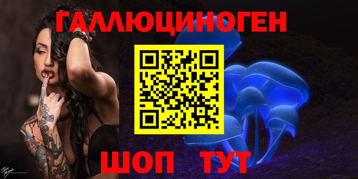 Бердск  Галлюциногенные грибы MAGIC MUSHROOMS  купить   Псилоцибиновые грибы мицелий  Вход с VPN 